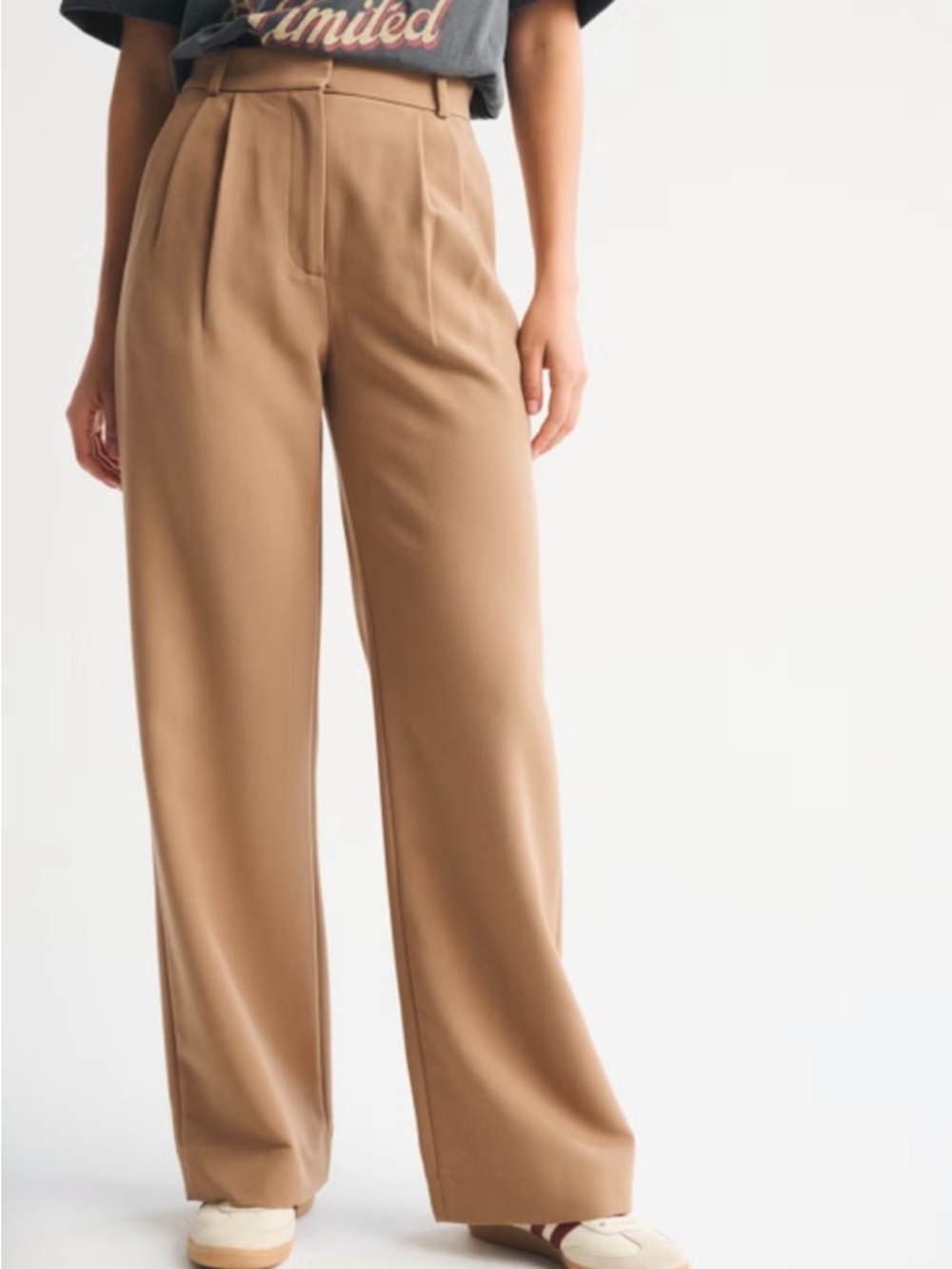 Abercrombie & Fitch Taupe Sloane Wide Leg Trouser